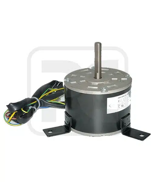 1600RPM 3 Speed Electric Motor Customized Indoor AC Fan Motor Double Shaft